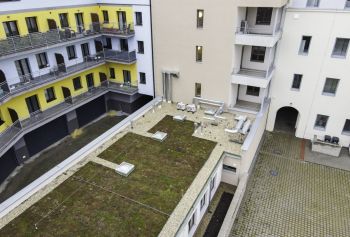 DJI_0472